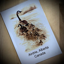 Load image into Gallery viewer, Airdrie, Alberta (Follow the Leader) Bumper Sticker